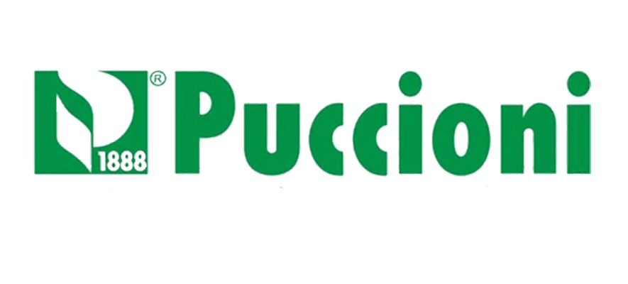 Puccioni