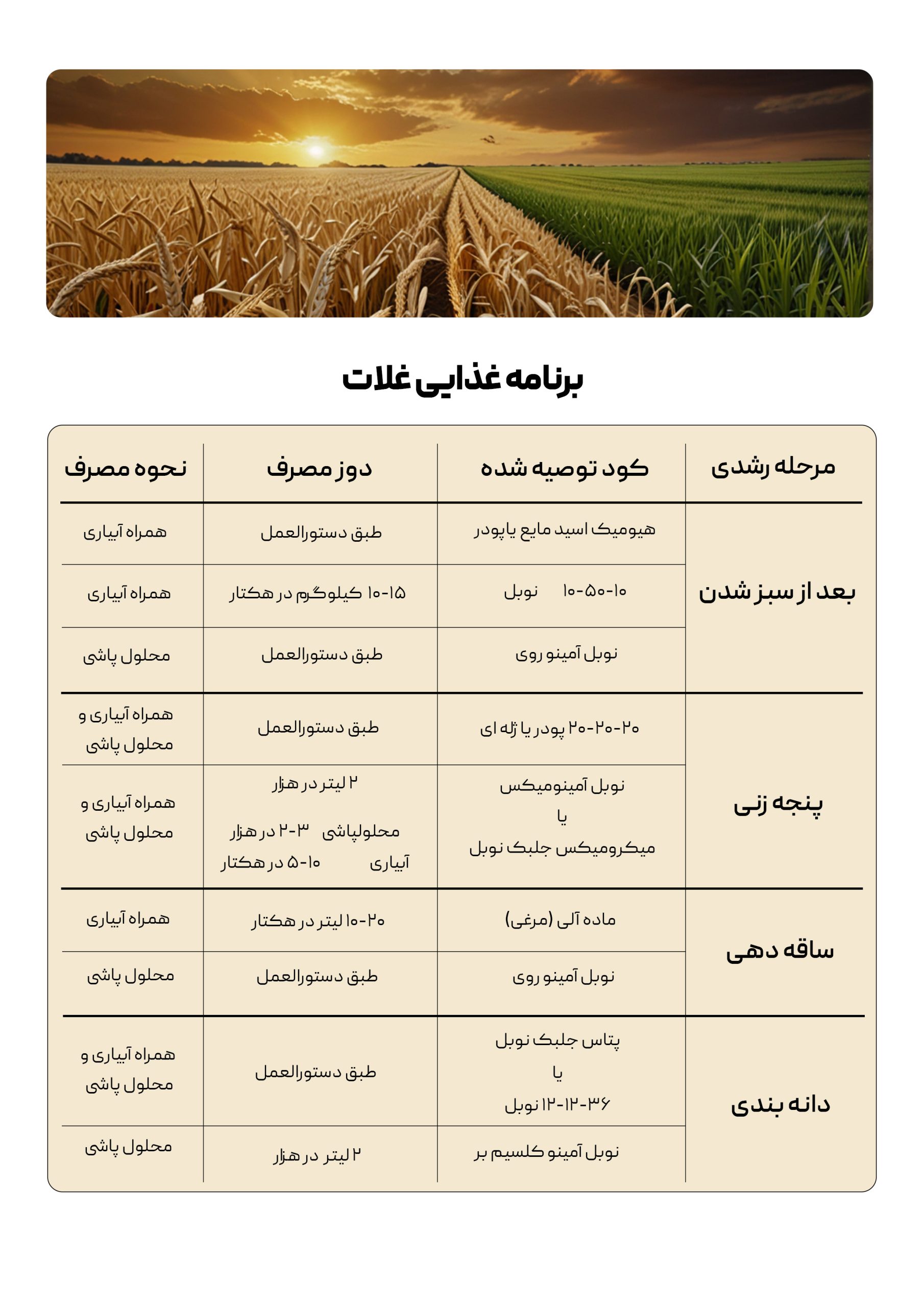 برنامه غذایی غلات