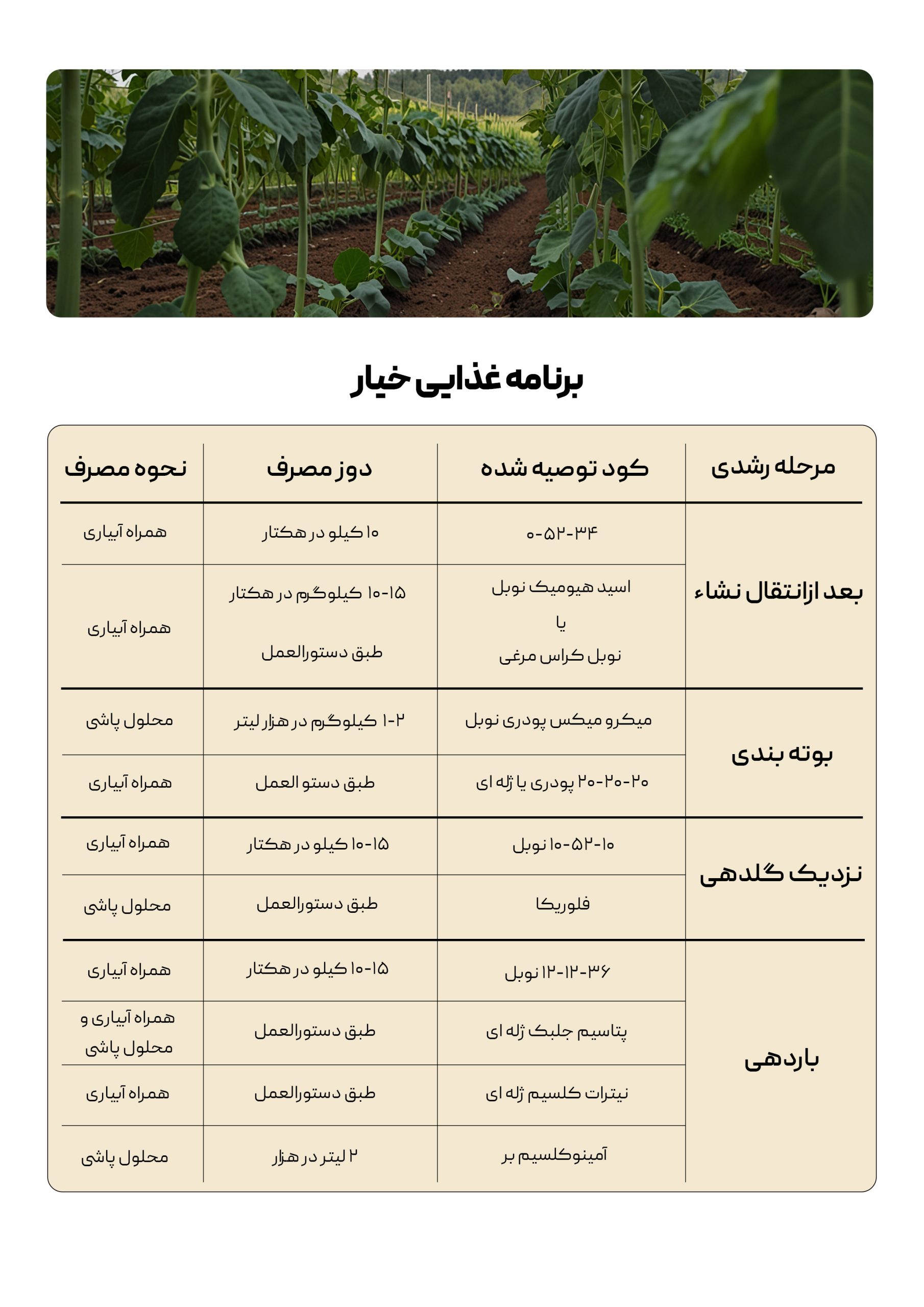 برنامه تغذیه ای خیار