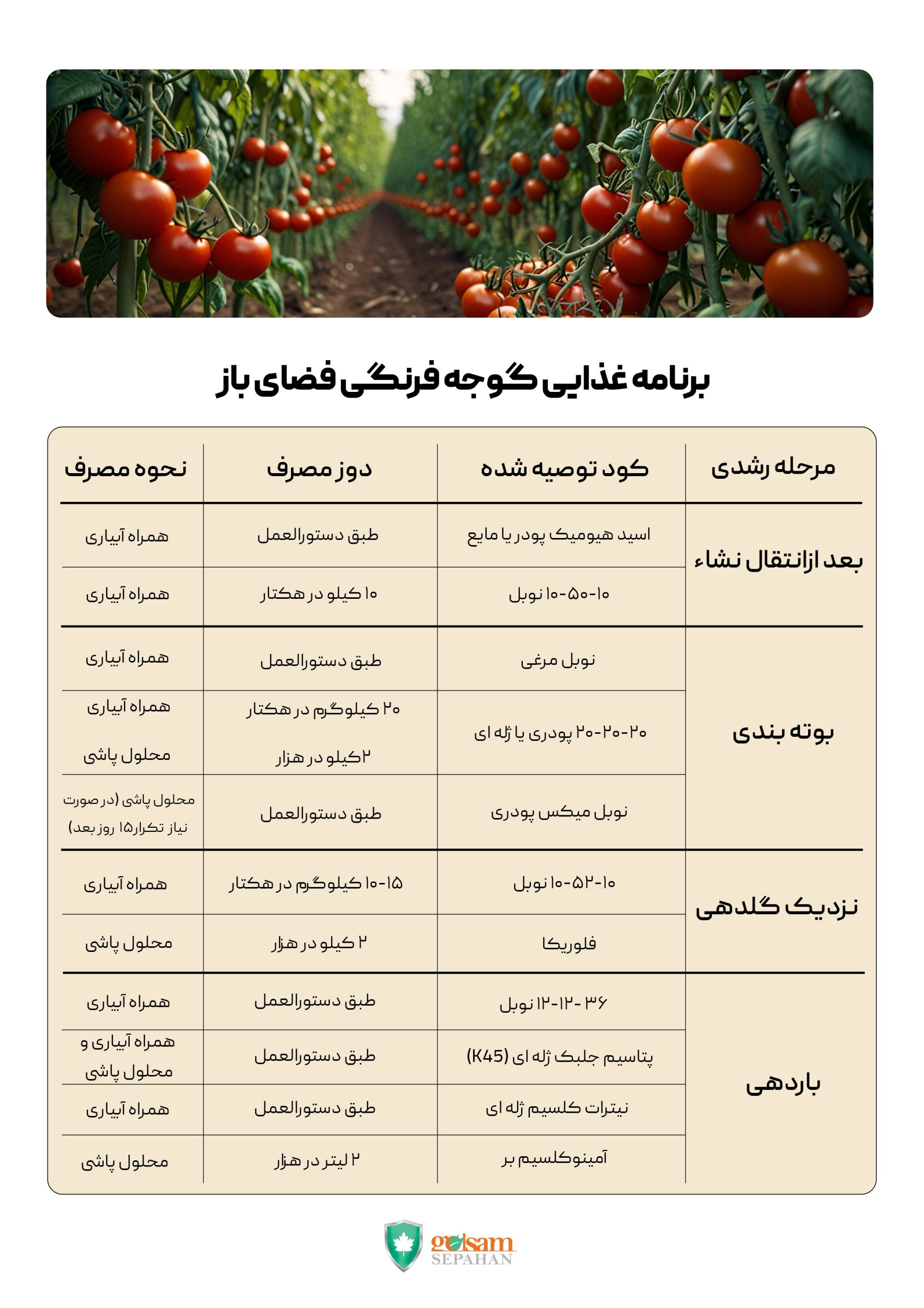 برنامه تغذیه گوجه فرنگی فضای باز